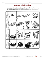 Animal Life Puzzles